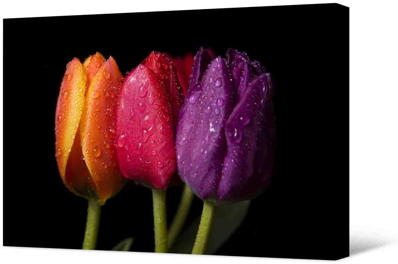 Картинка Фотокартина - красивые тюльпаны 