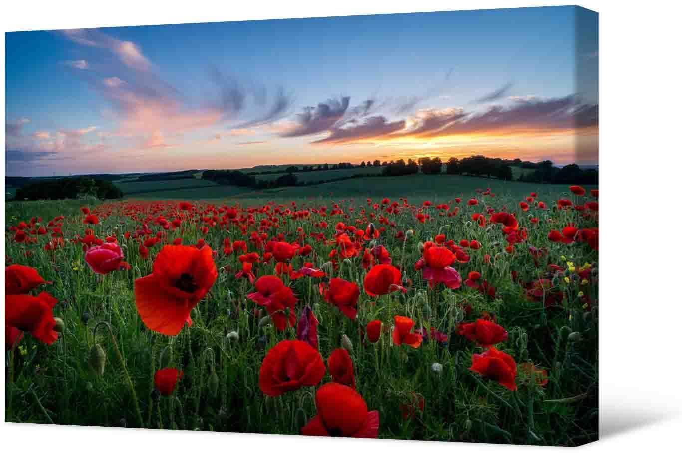 Picture Photo picture - a beautiful field of poppies