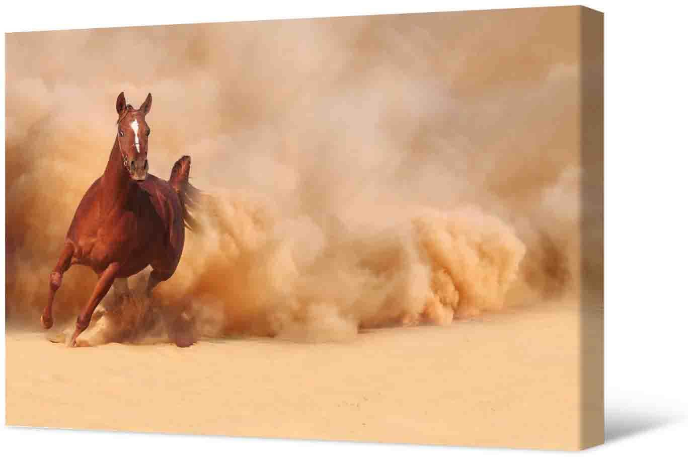 Bilde Fotoattēla - skaists zirgs steidzas