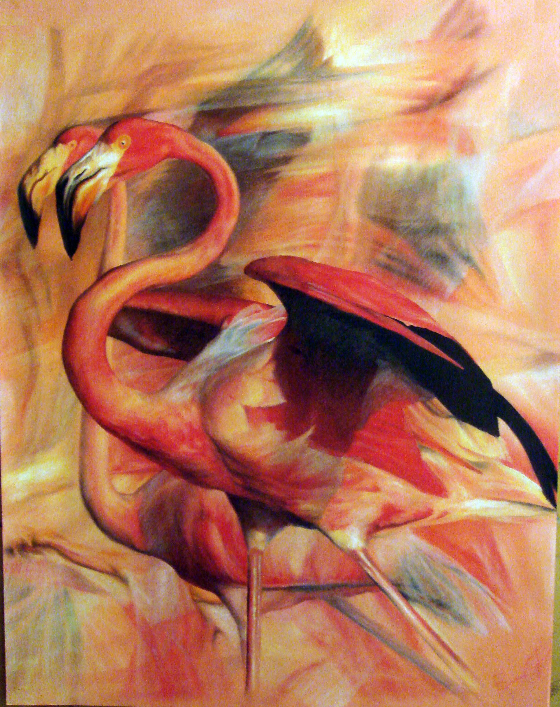 Bilde Fotoattēla - rozā flamingo 3