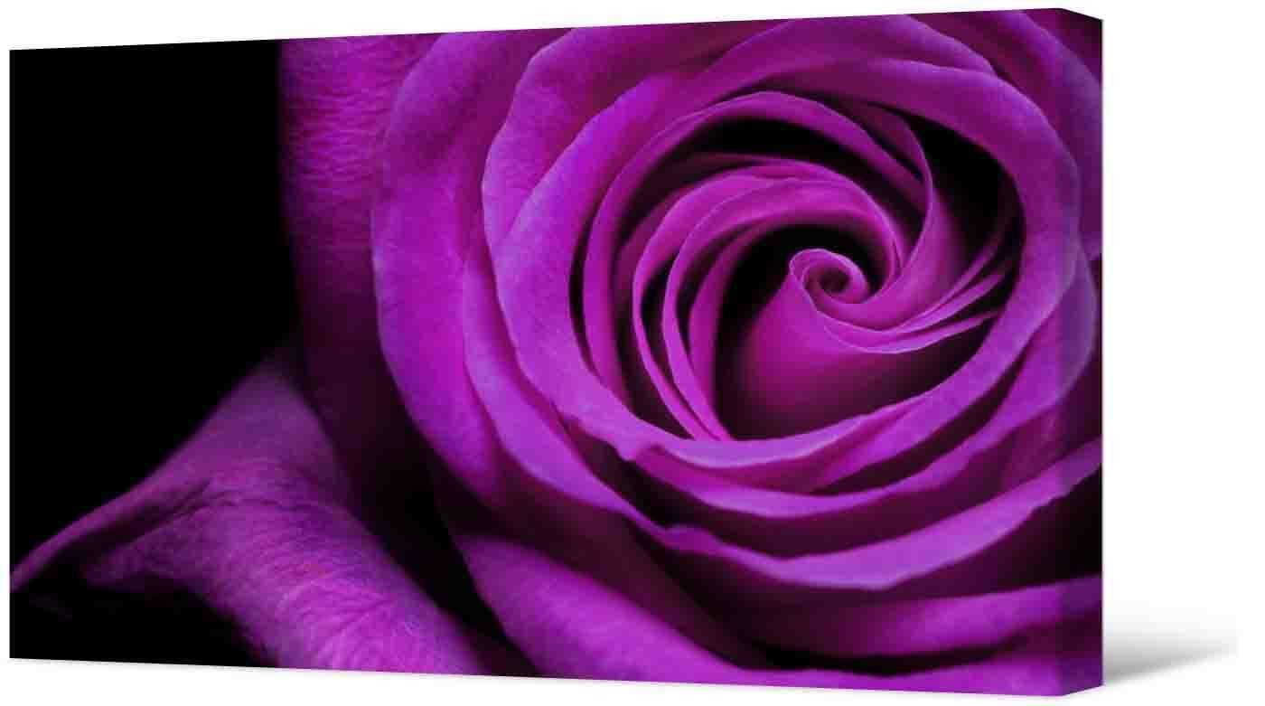 Bilde Fotoattēla - skaista rozā roze