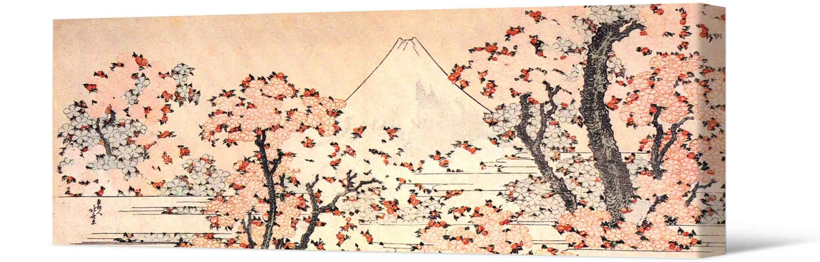Obrazek Zdjęcie - drzewa sakura i wulkan