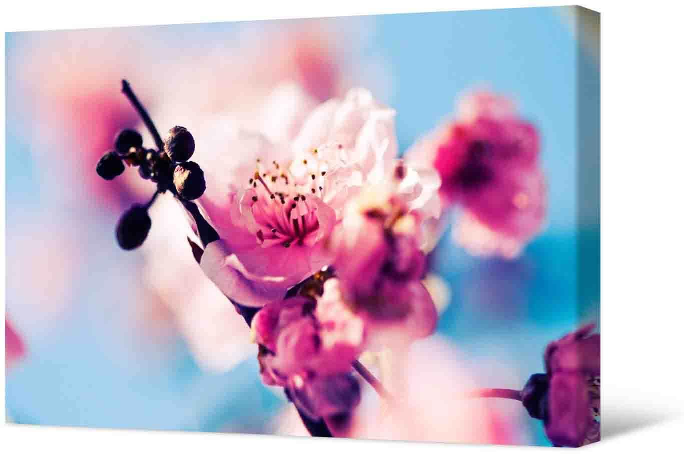 Bilde Fotoattēlā - skaisti ziedi uz koka zara