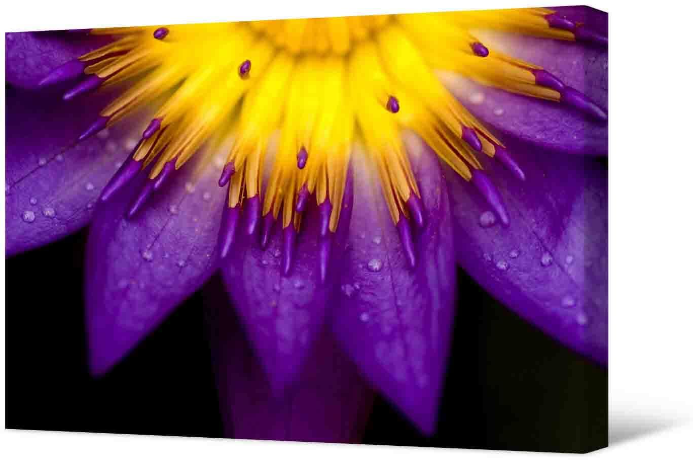 Obrazek Zdjęcie - fioletowy kwiat