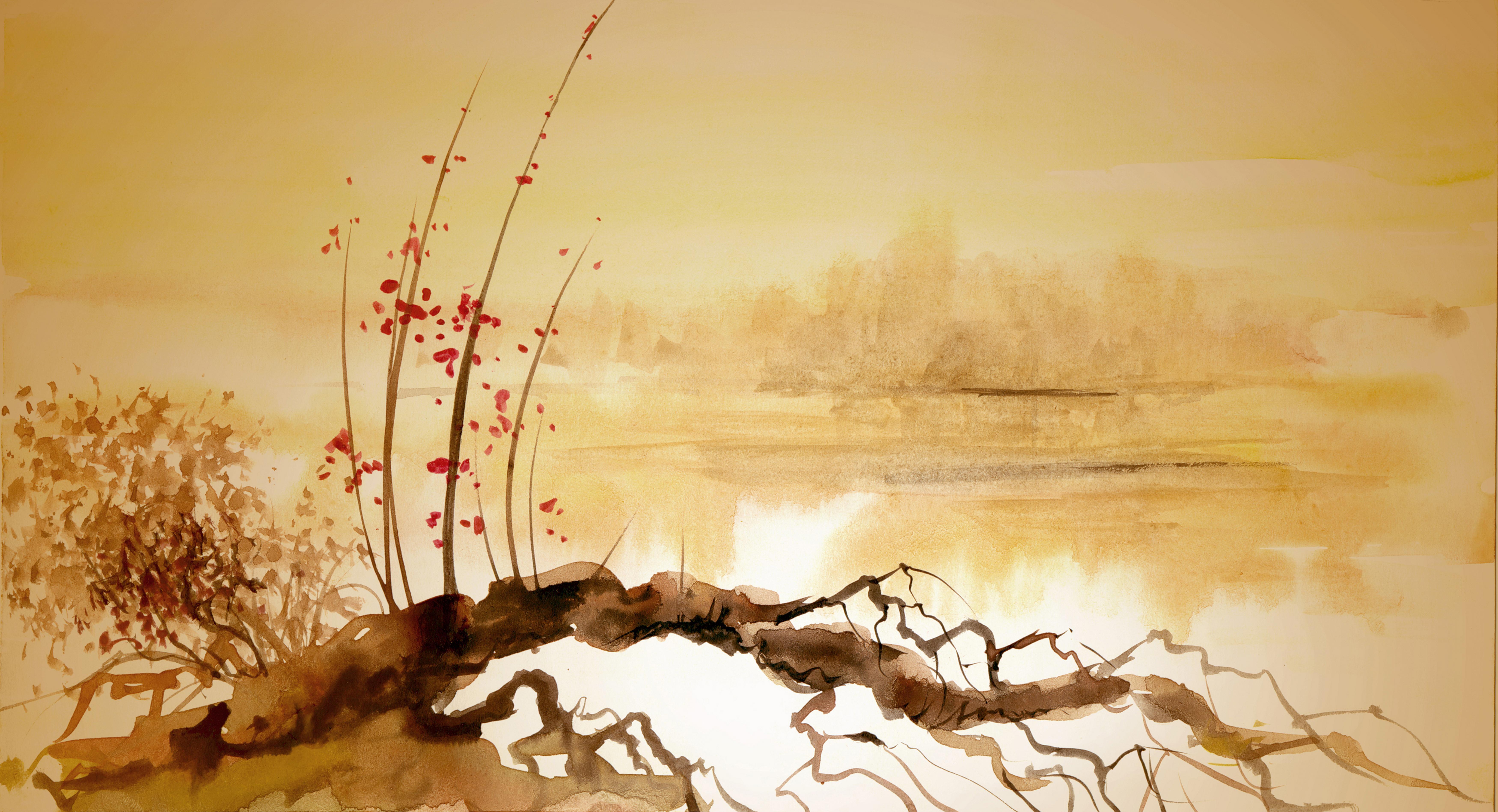 Картинка Фотокартина - упавшее дерево и цветущий цветок на берегу водоема 3