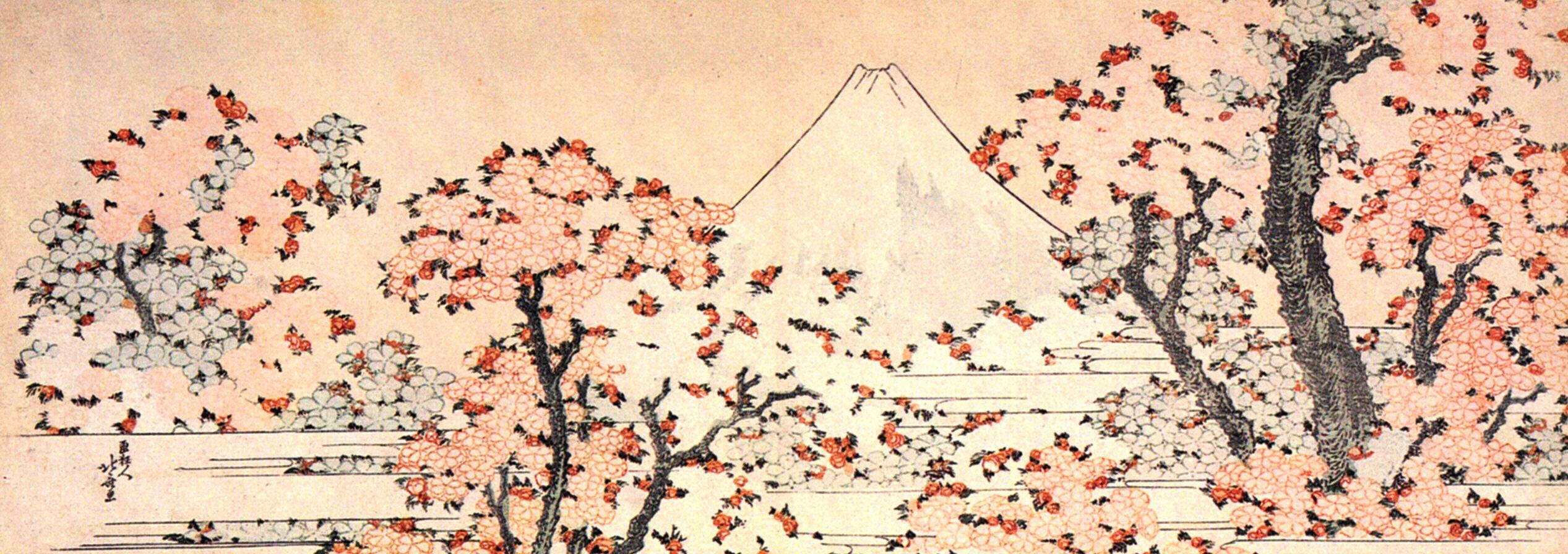 Картинка Фотокартина - деревья сакуры и вулкан  3