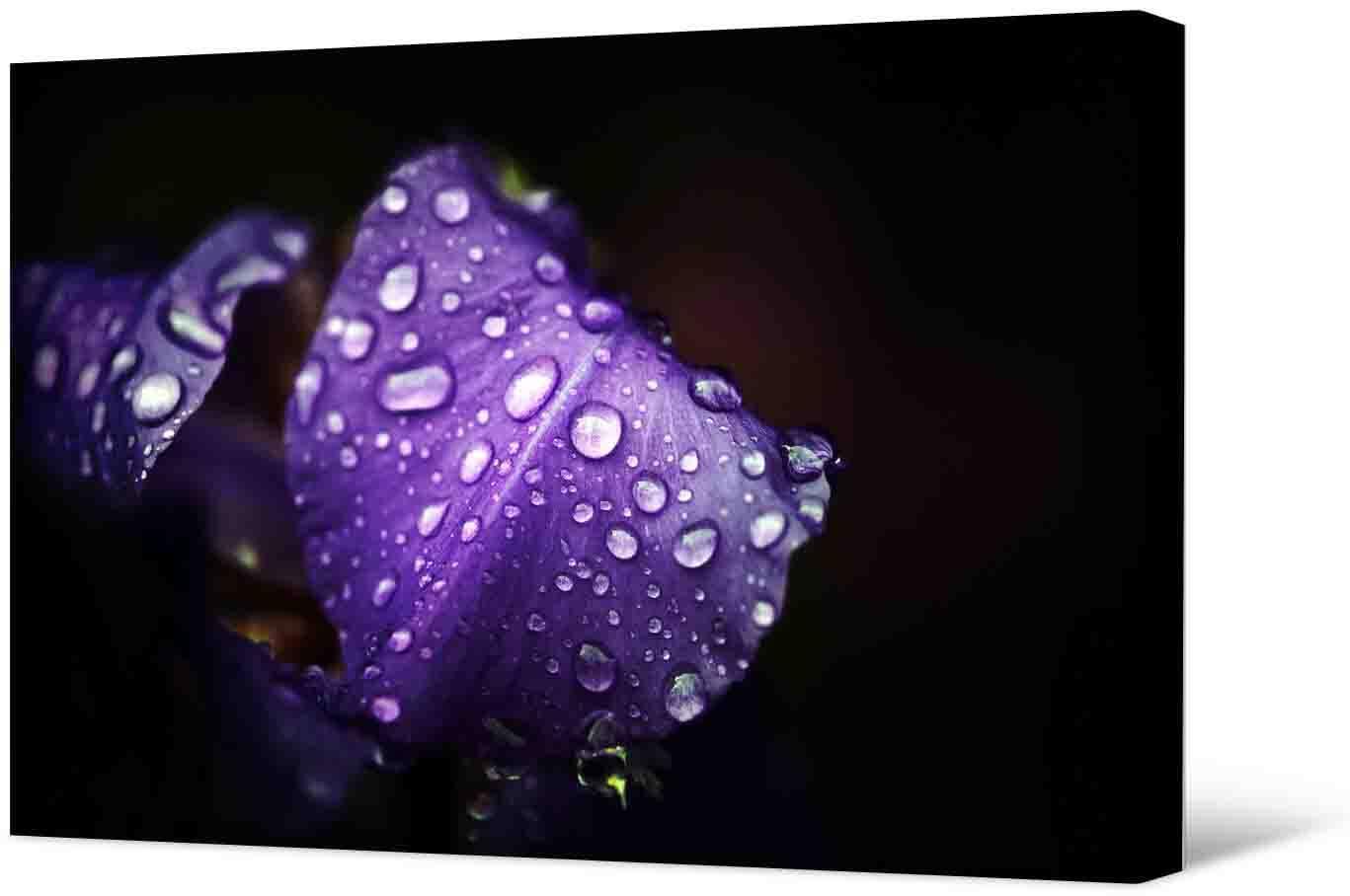 Bild Fotobild - purpurrotes Blatt und Wassertropfen