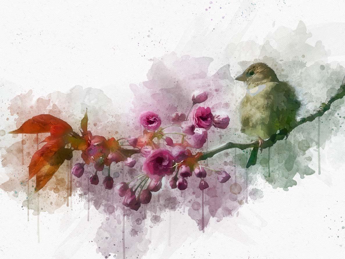 Картинка Птица возле цветов 3