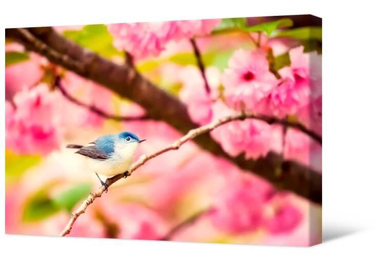 Obrazek Ptak na kwitnącym drzewie