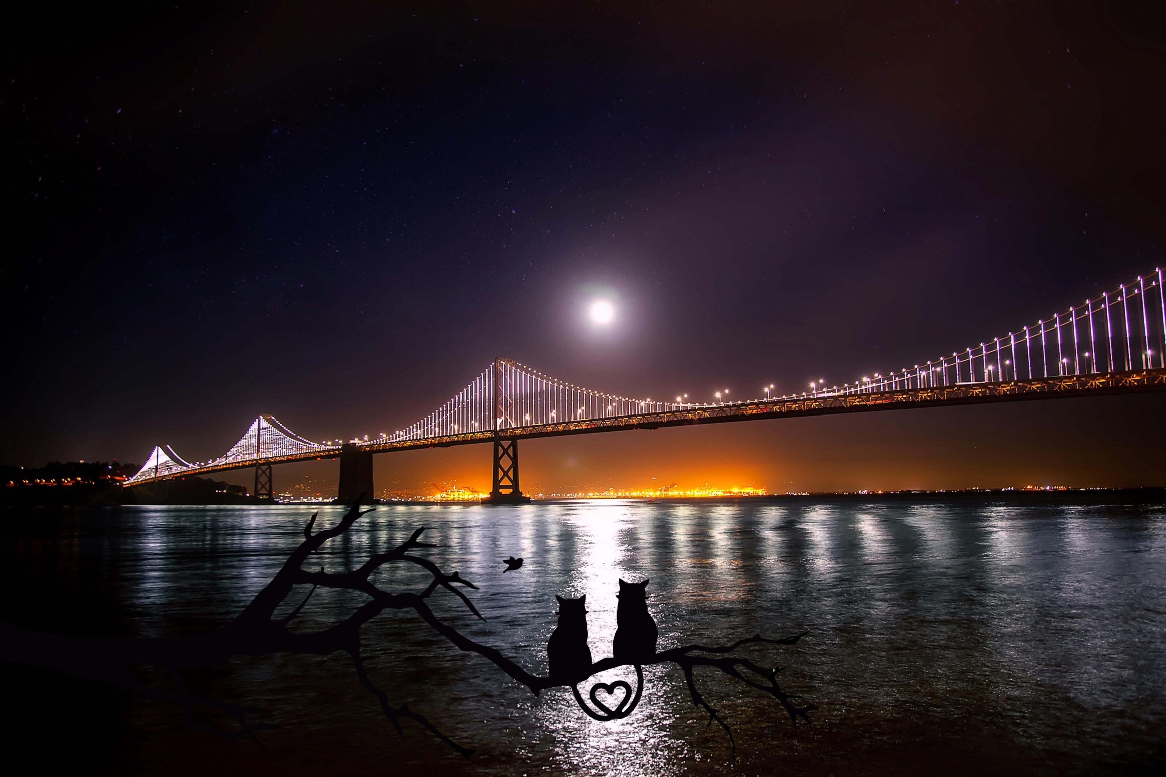 Picture Photo painting on canvas - San Francisco at night 3