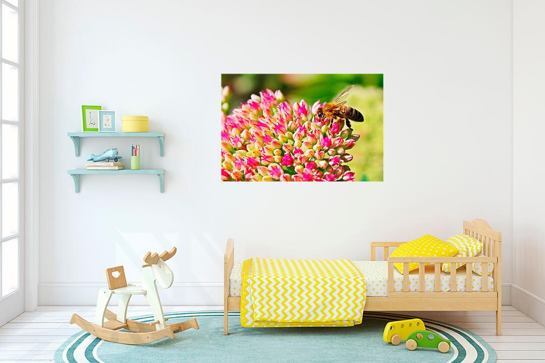 Картинка Пчела на цветах 3