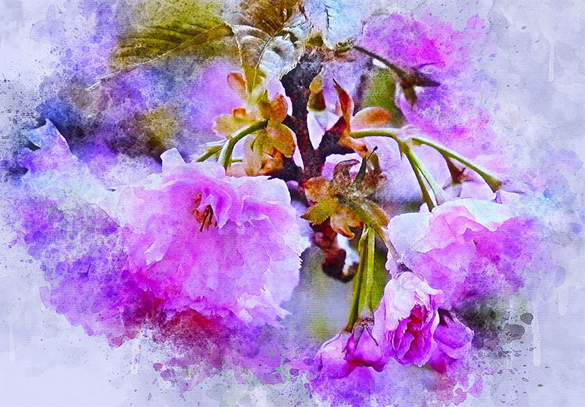 Picture Watercolor flowering branch 2
