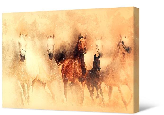 Картинка Шесть лошадей