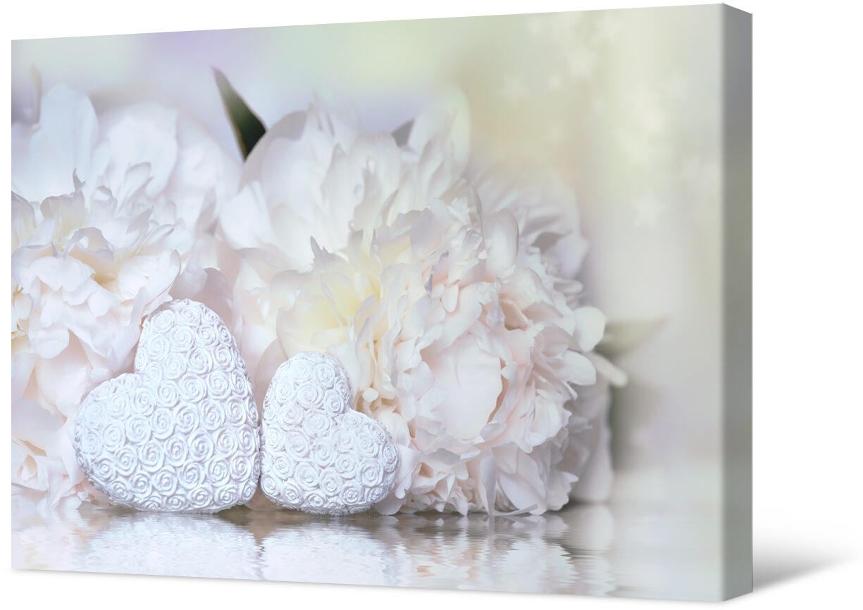 Picture White peonies and hearts