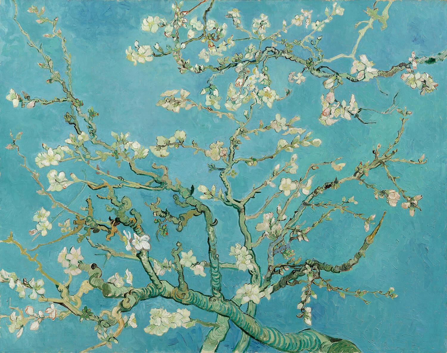 Obrazek Van Gogh - Kwitnące gałązki migdałów 2
