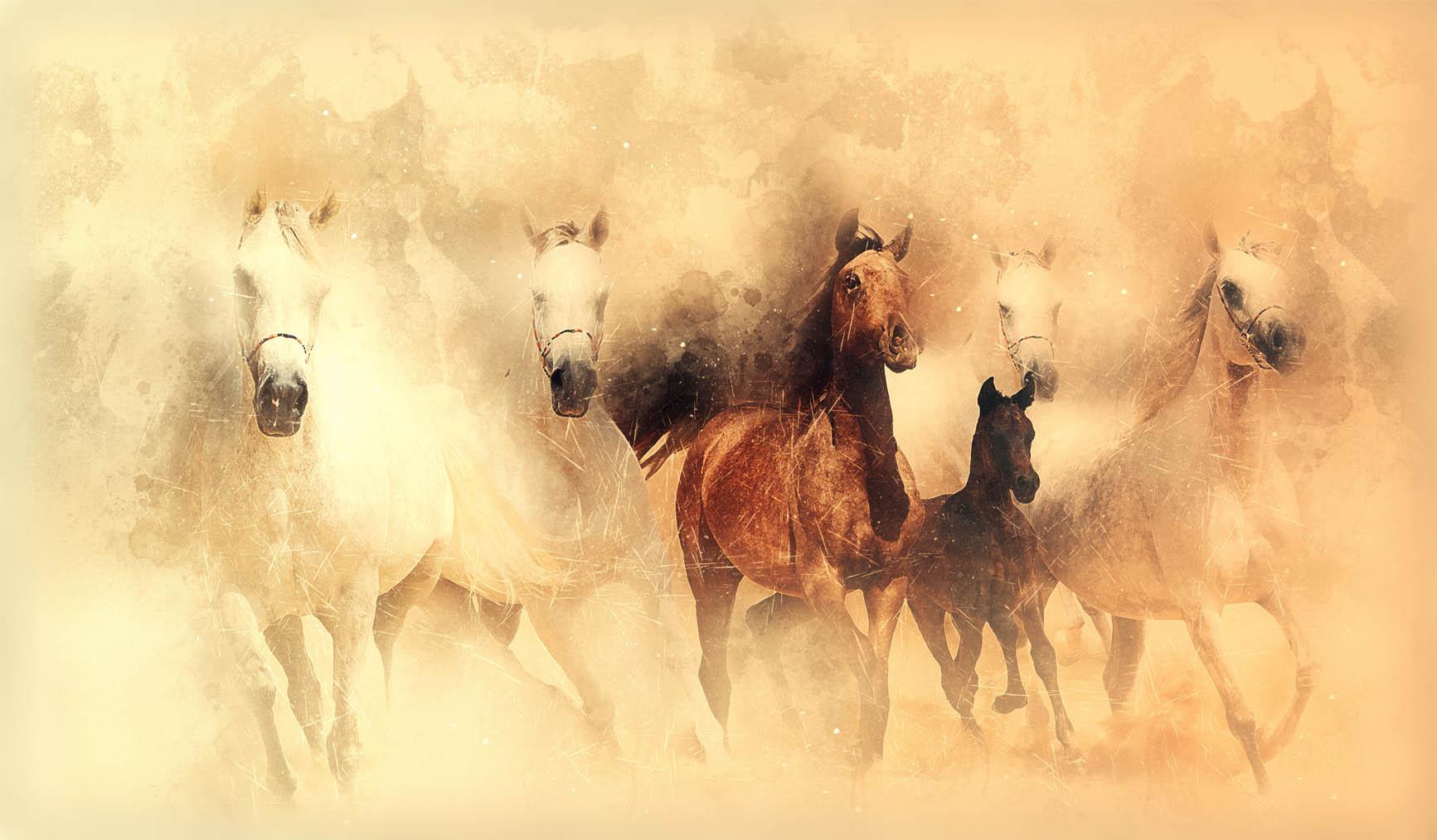 Bild Sechs Pferde 3