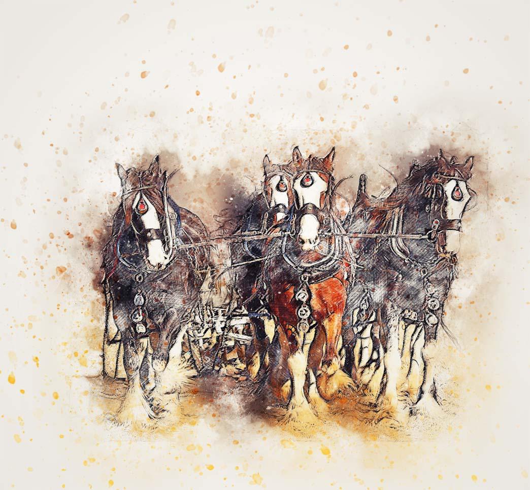 Picture Horses in harness 3