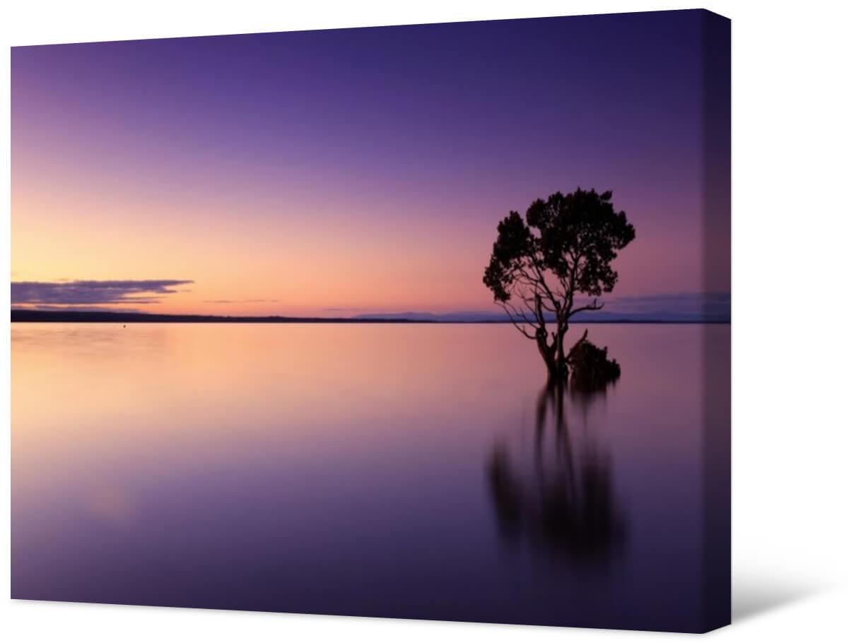 Bild Fotomalerei auf Leinwand - Baum vor dem Hintergrund des Sonnenuntergangs