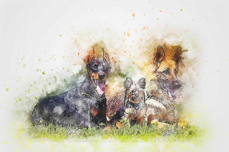 Картинка Три собаки 3