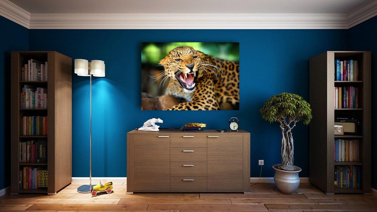 Paveikslėlis Leopardas 2