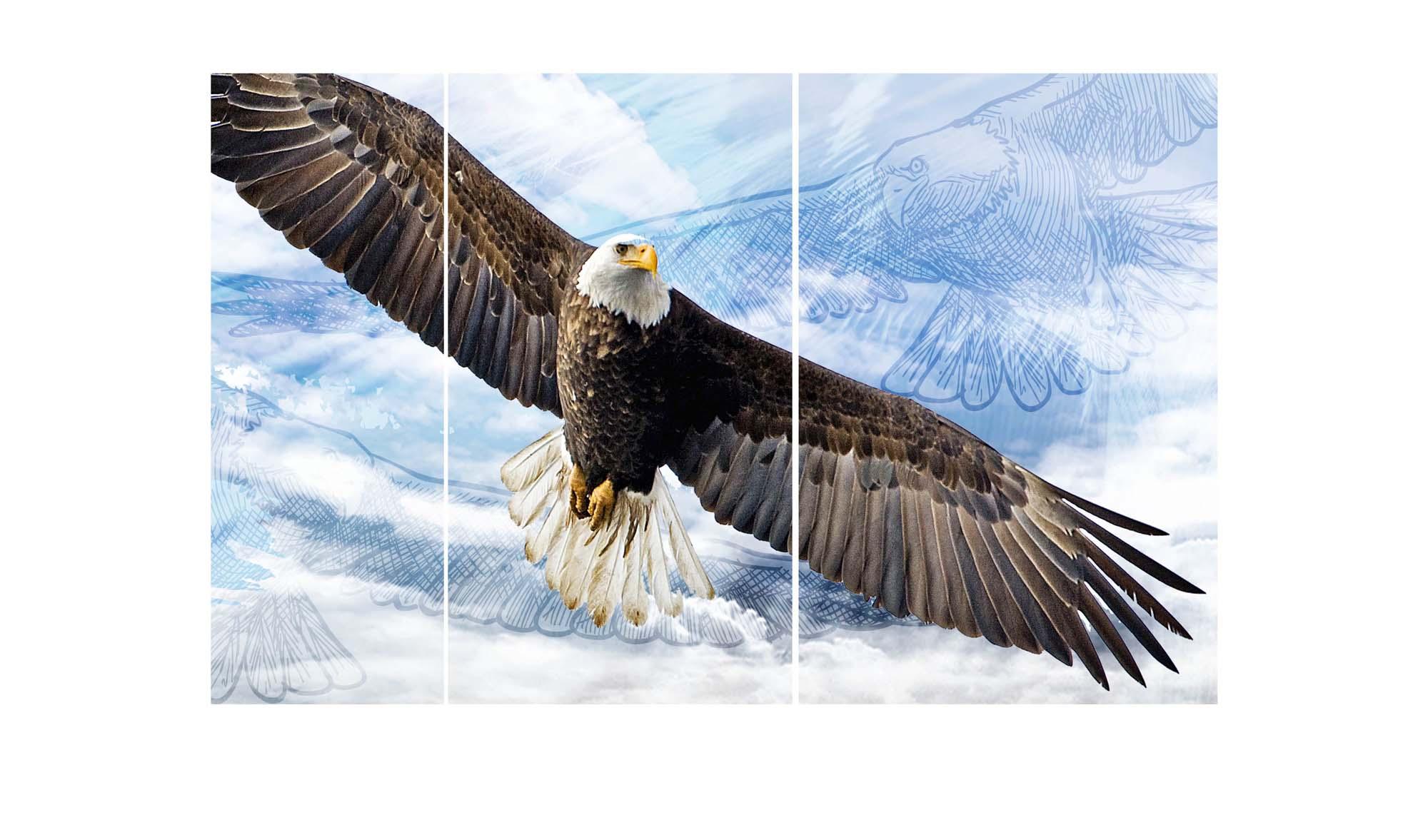 Picture Modular picture - bald eagle 3