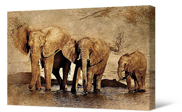 Bild Elefanten