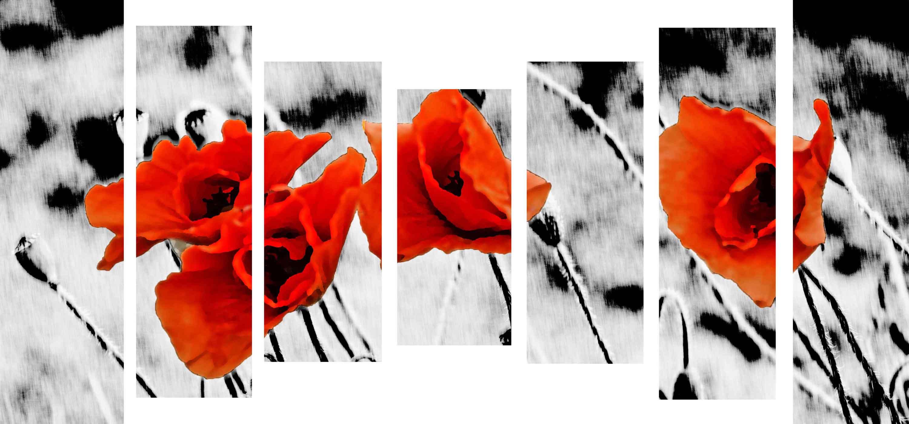 Paveikslėlis Modulinis paveikslėlis – aguonos baltame fone 3