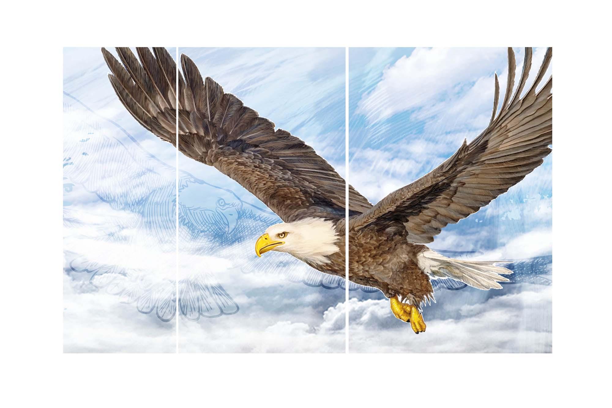 Picture Modular picture - bald eagle 3