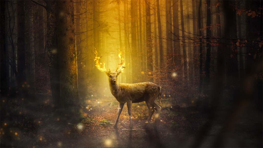 Picture Magical deer 3