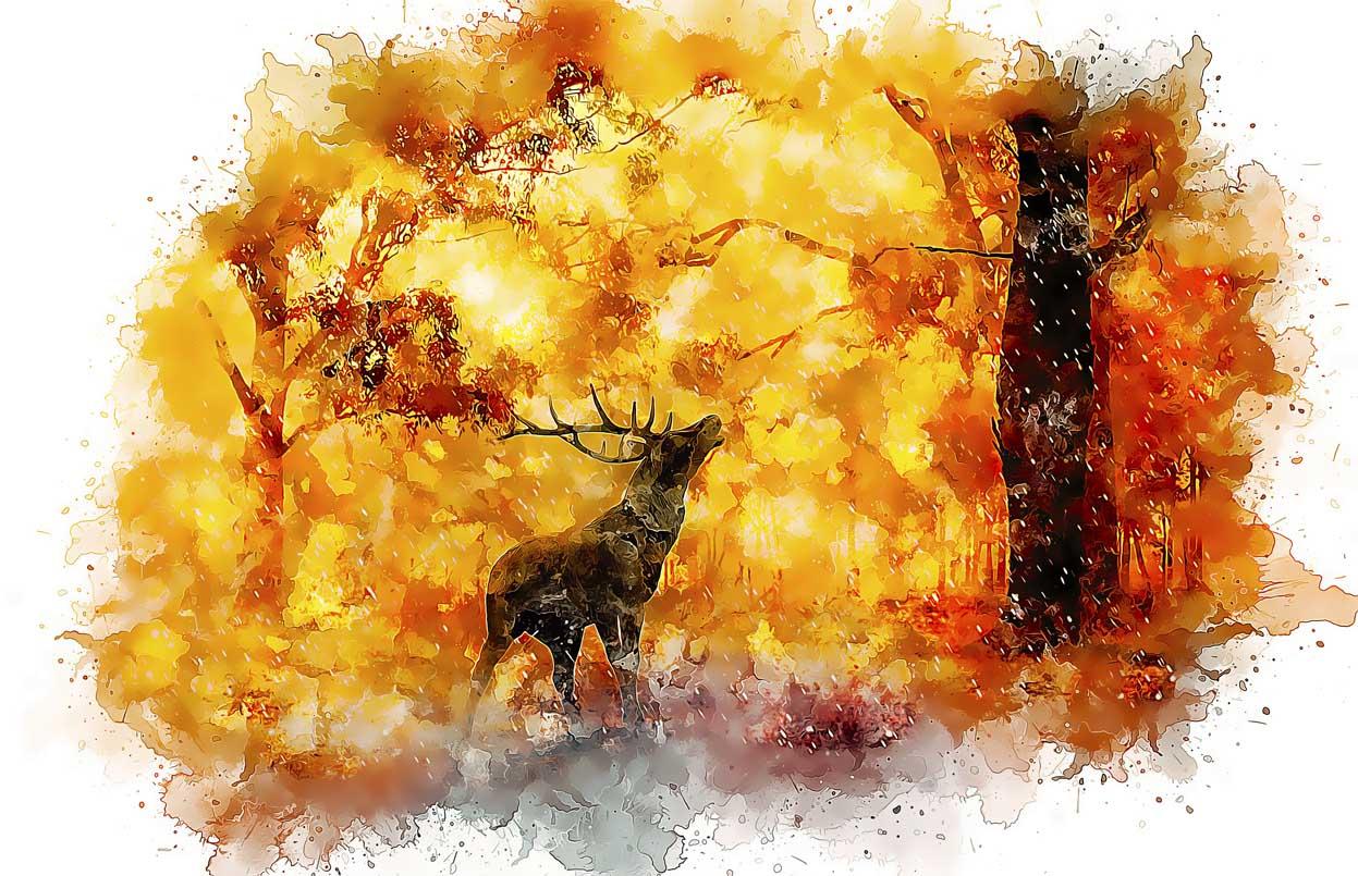 Obrazek Jeleń w jesiennym lesie 3