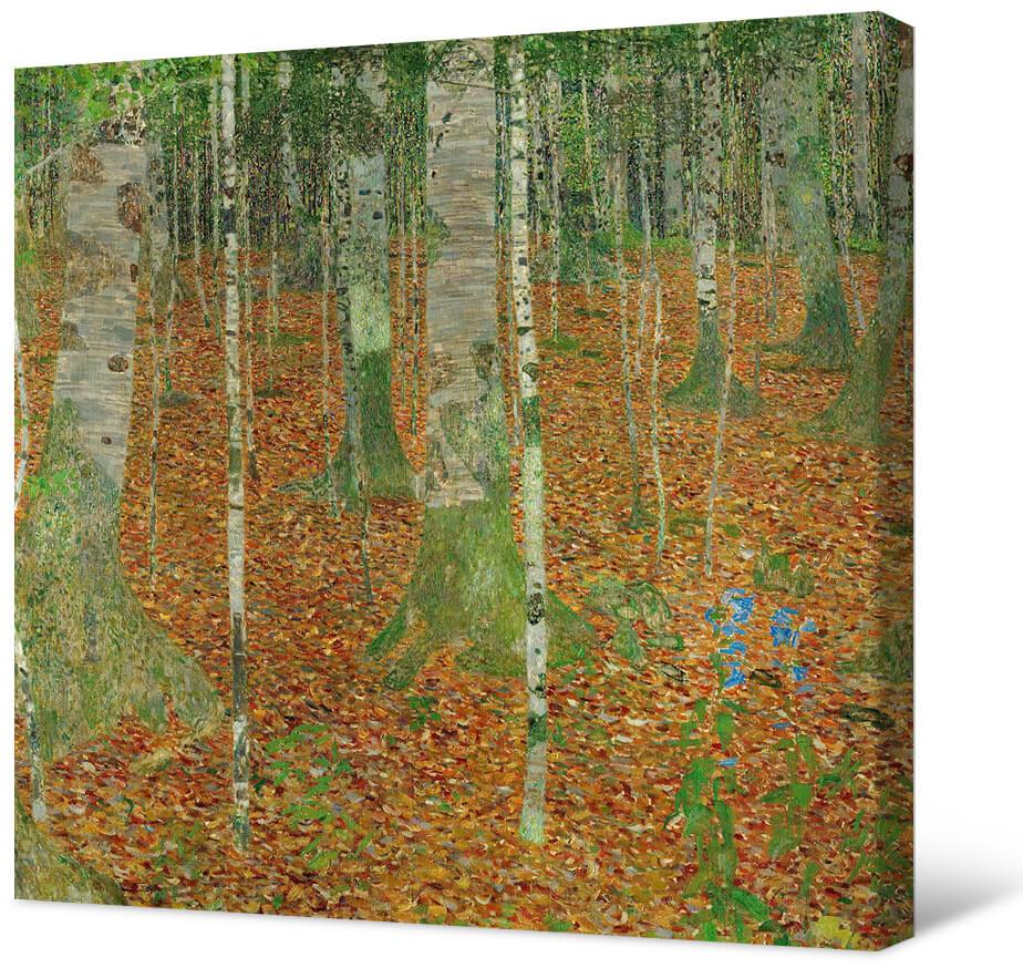 Picture Klimt - Birch Grove