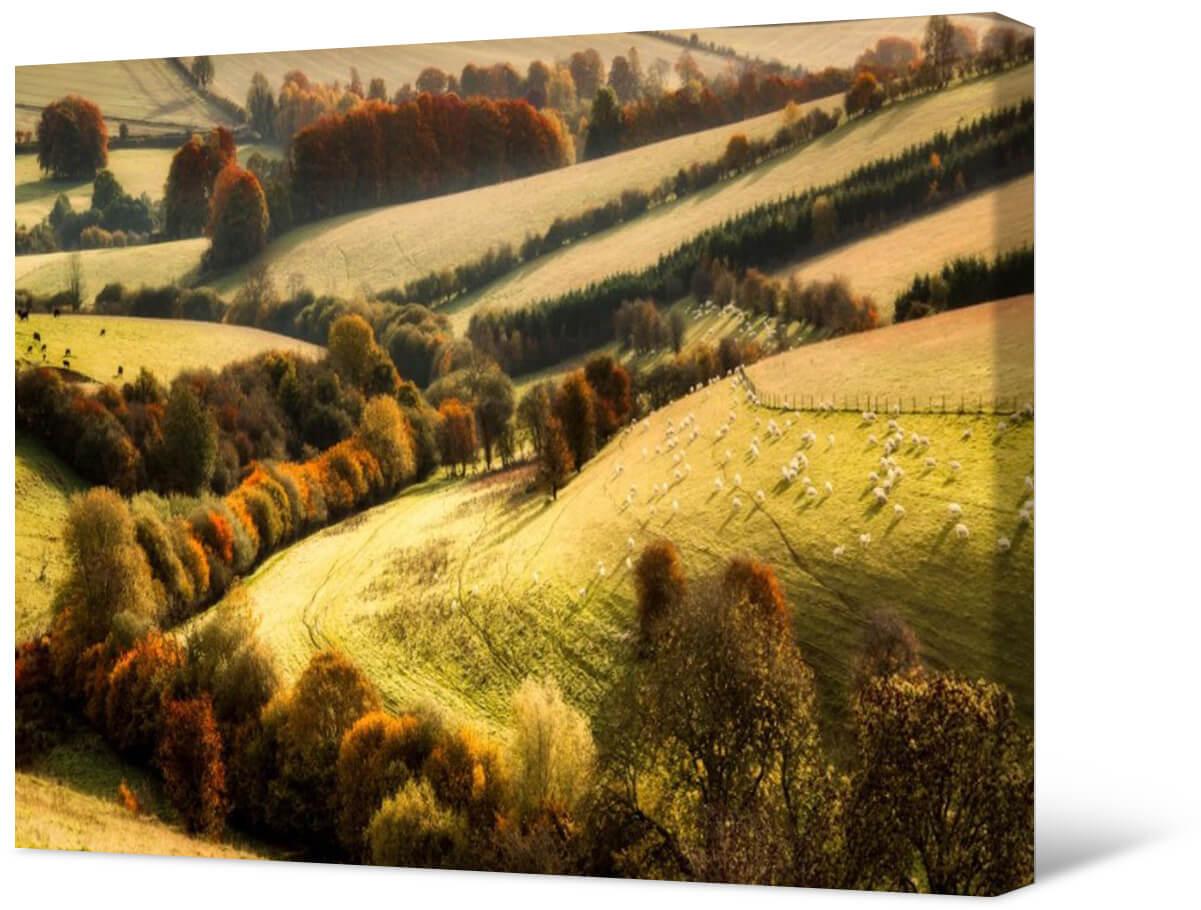 Picture Photo painting on canvas - Pastures