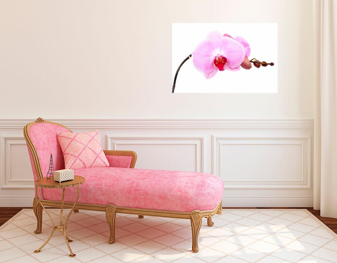 Obrazek Gałązka różowej orchidei 3