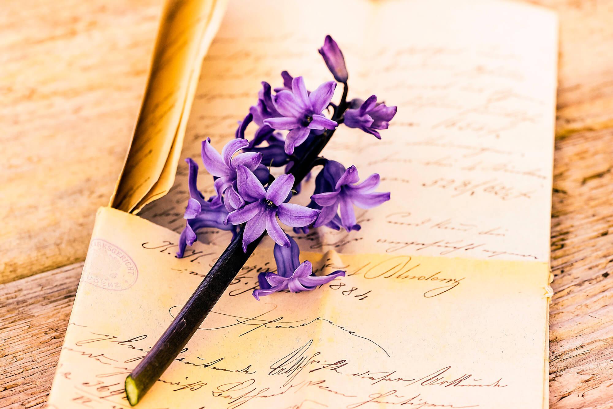 Picture Letter and hyacinth inflorescence 2