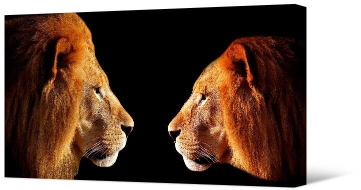 Paveikslėlis Du liūtai