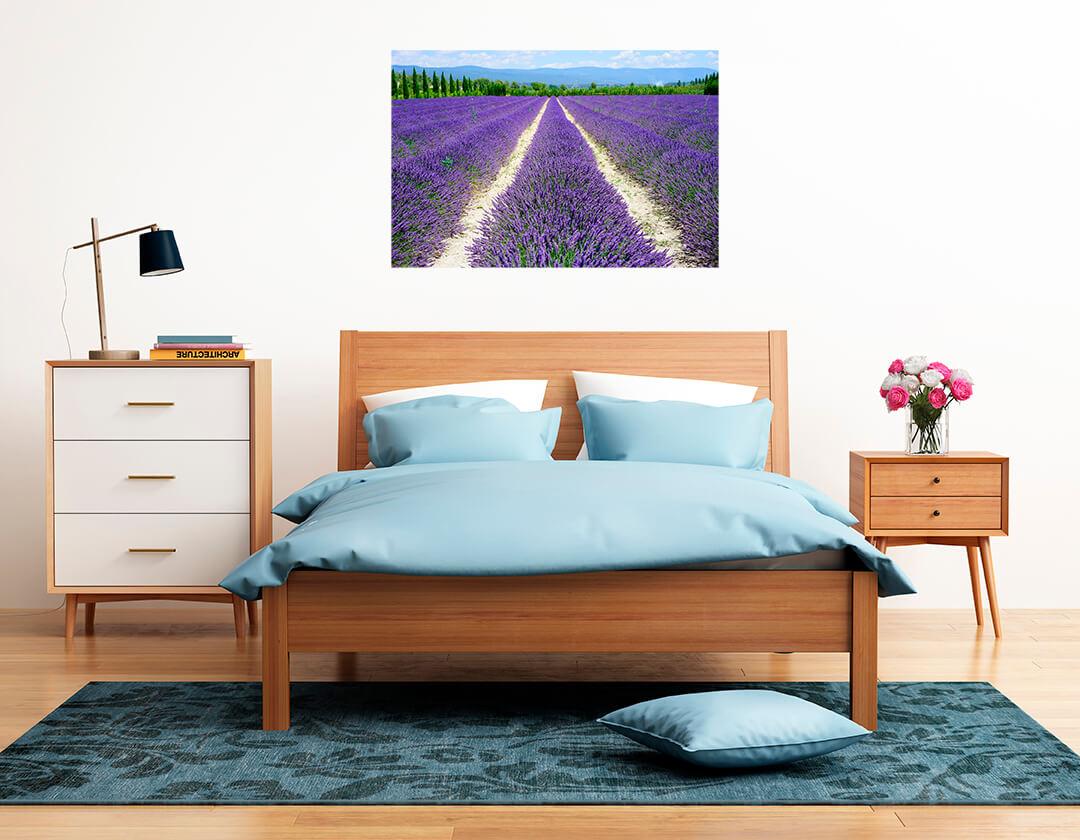 Picture Lavender field 3