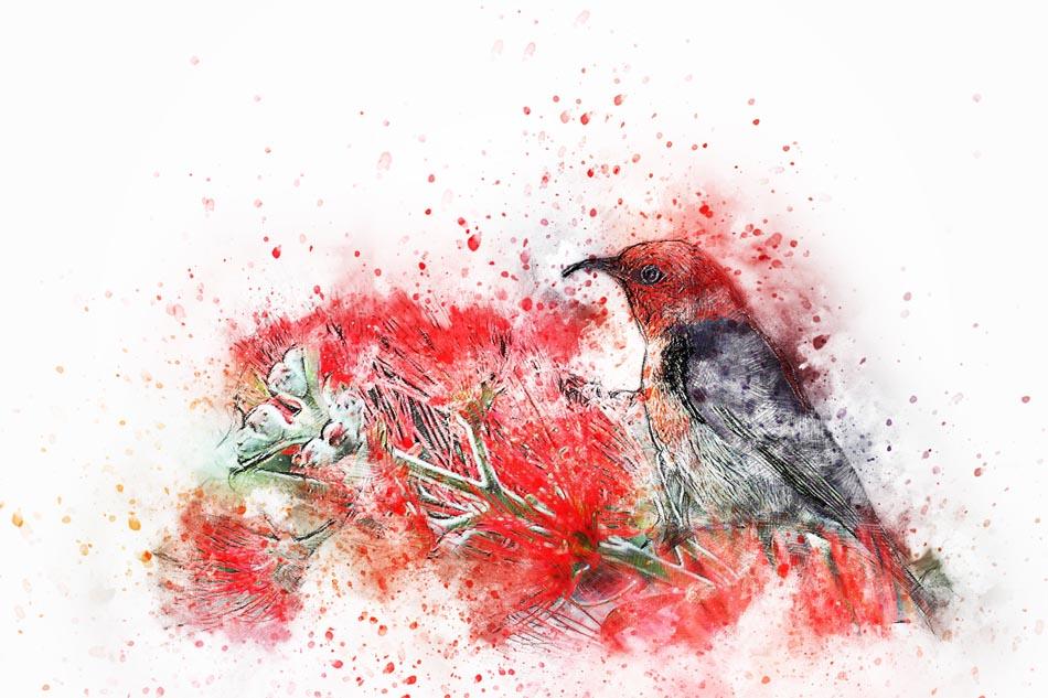 Картинка Красная птица 3