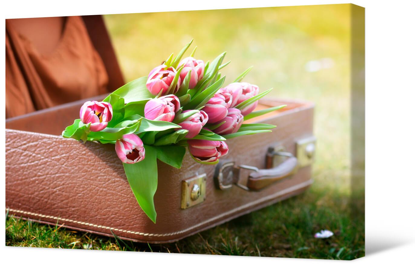 Picture Tulips in a suitcase