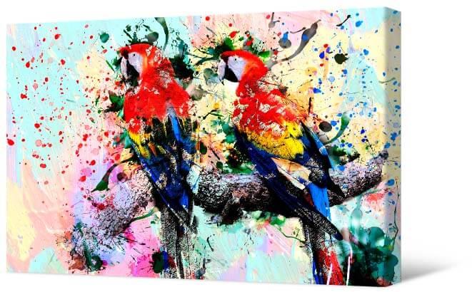 Bilde Akvareļu papagaiļi
