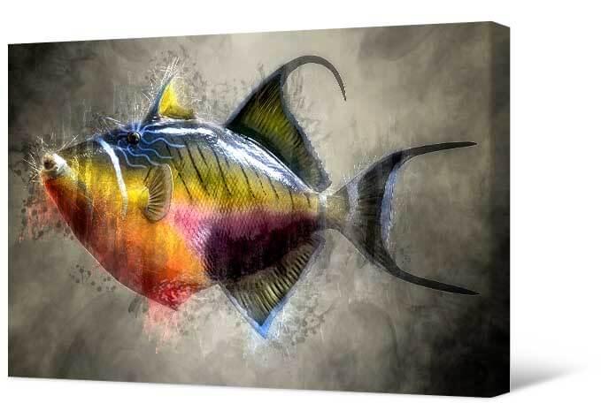 Bilde Spilgtas zivis