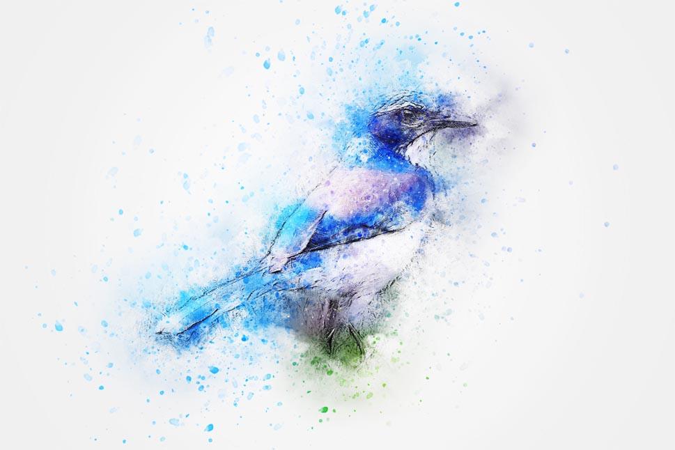 Paveikslėlis Akvarelės paukštis 3