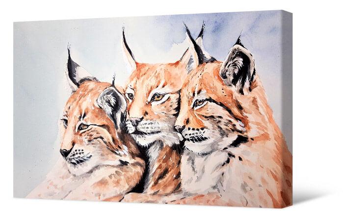 Picture Watercolor lynxes