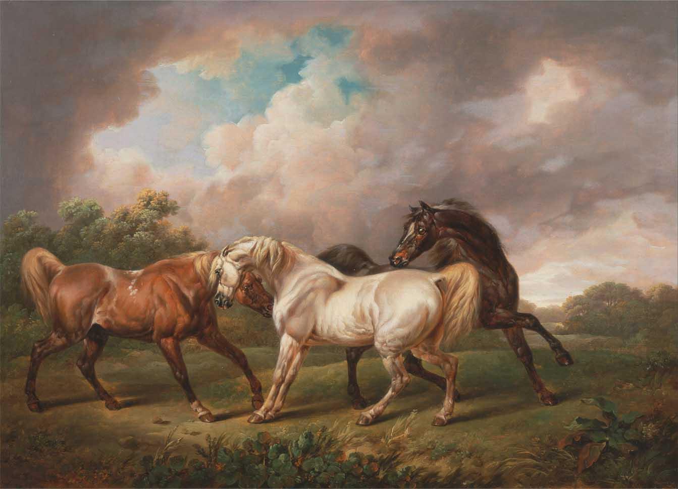 Obrazek Konie 3