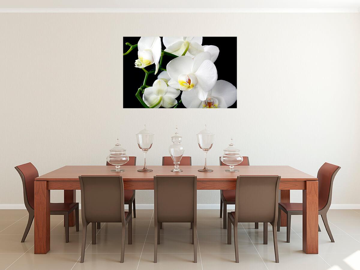 Obrazek Białe kwiaty orchidei 3