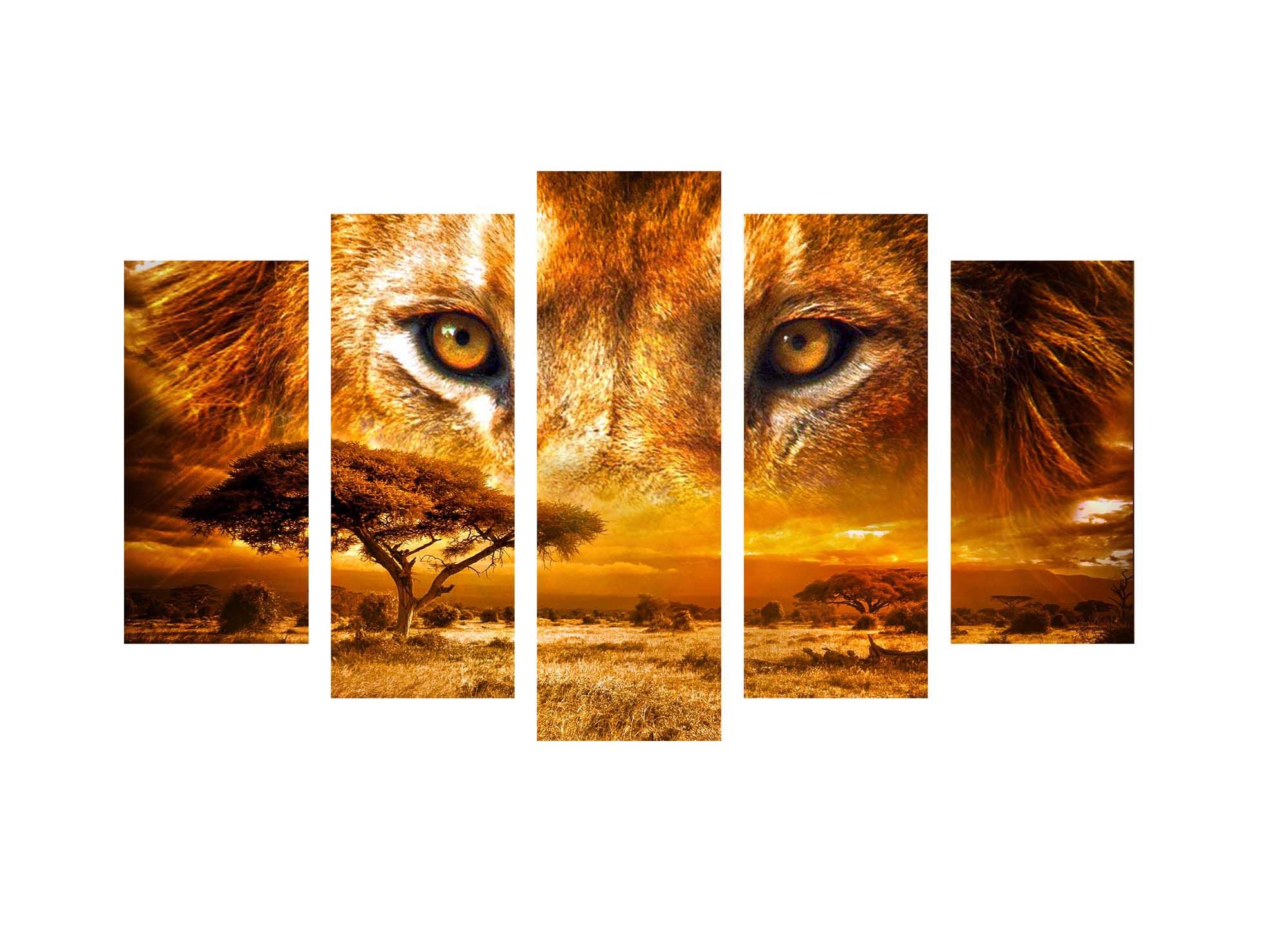 Obrazek Modułowy obraz - oczy lwa nad sawanną 3