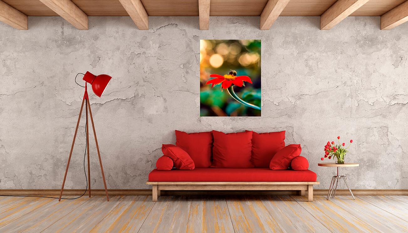 Bild Hummel auf einer roten Blume 3