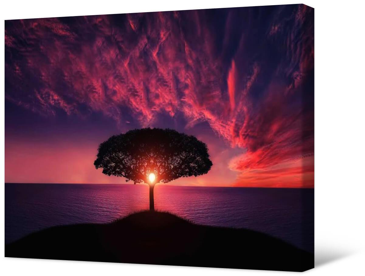 Picture Photo painting on canvas - The light of the sun through the tree