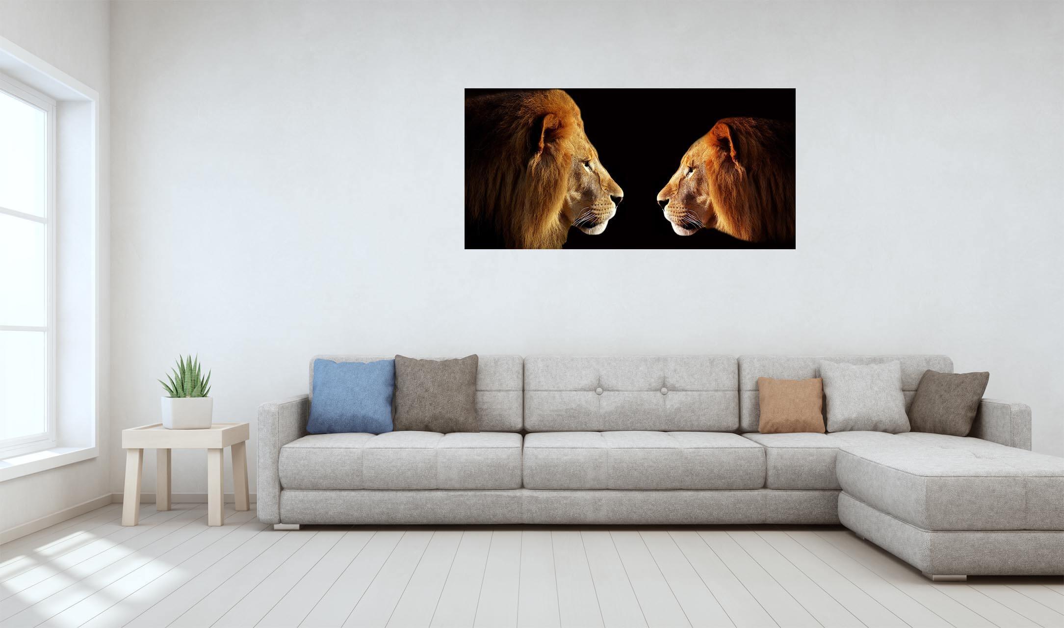 Du liūtai