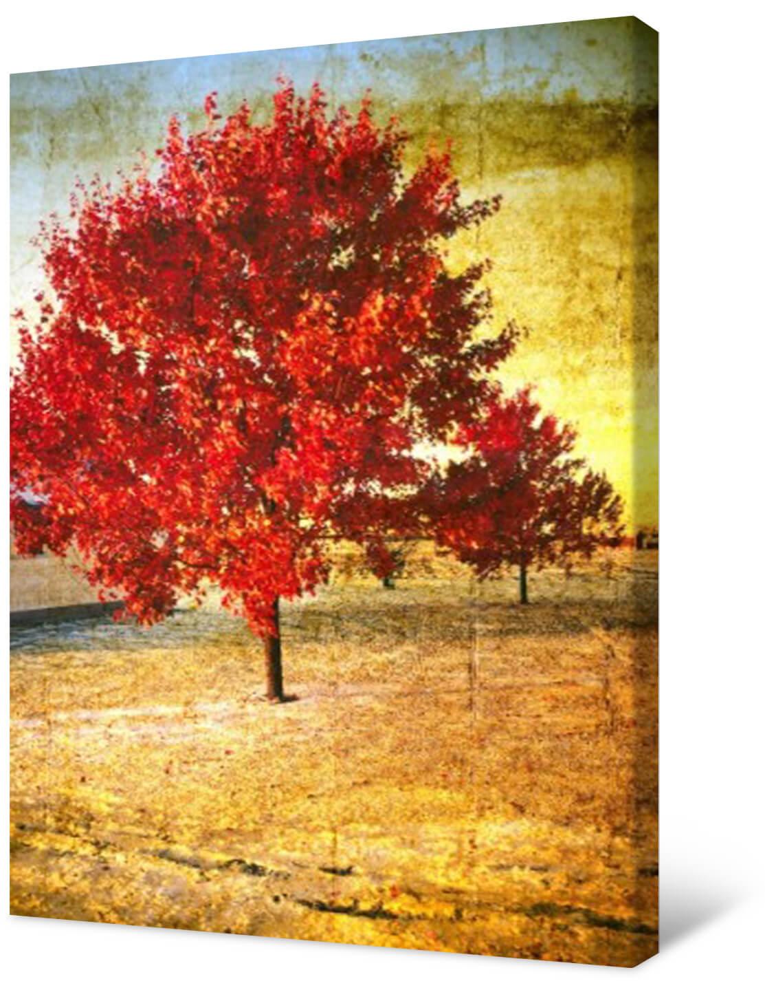 Картинка Фотокартина на холсте - Красное дерево