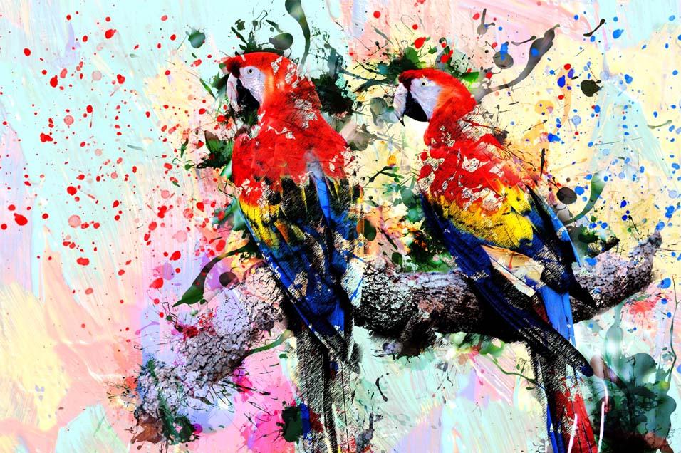 Picture Watercolor parrots 3